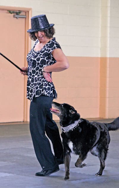 Dog dancing with his person