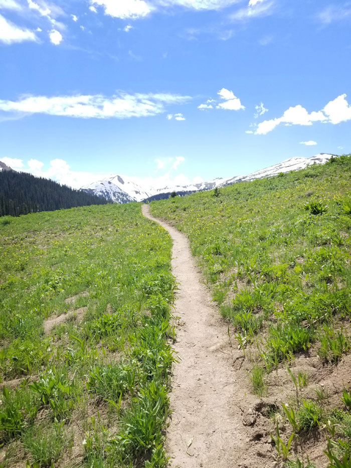 Hiking path in Colorado