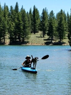Odin kayaking on a lake