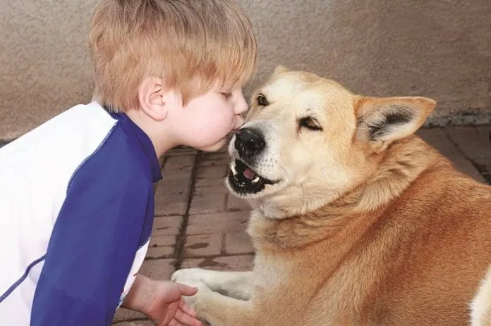 kidsanddogs Dog Bites