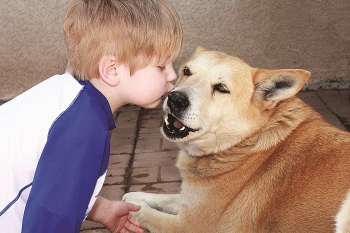Kids hugging sales dogs