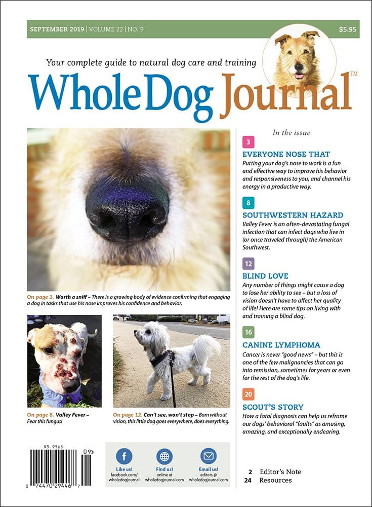 Download the Full September 2019 PDF Issue Whole Dog Journal