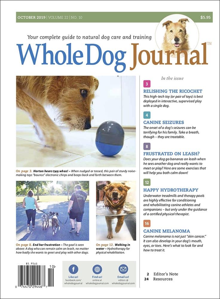 Download the Full October 2019 Issue Whole Dog Journal