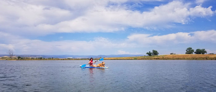 girl and dog paddleboarding on lake