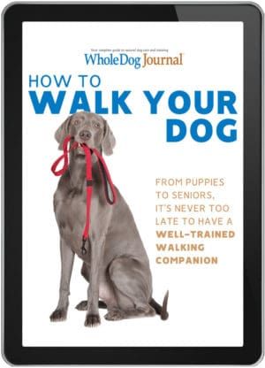 How to Walk Your Dog