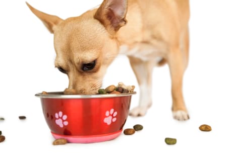 calories in victor dog food Victor Pet Food Bully Fuel Dry Dog Food