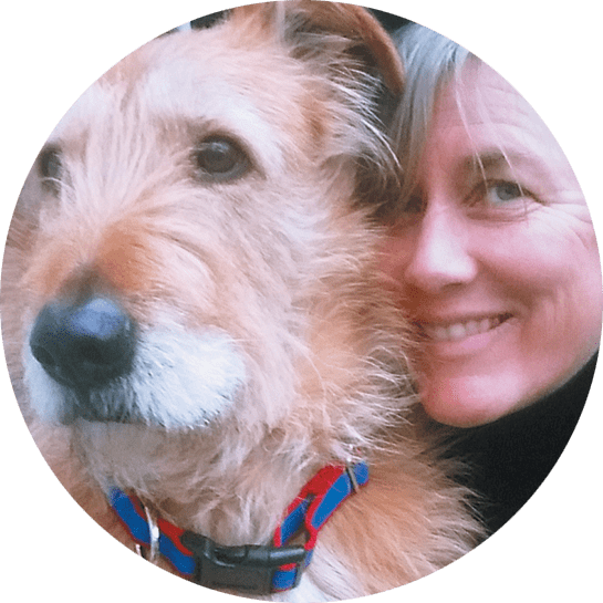 Whole Dog Journal If Your Dog Could Talk Subscription Offer