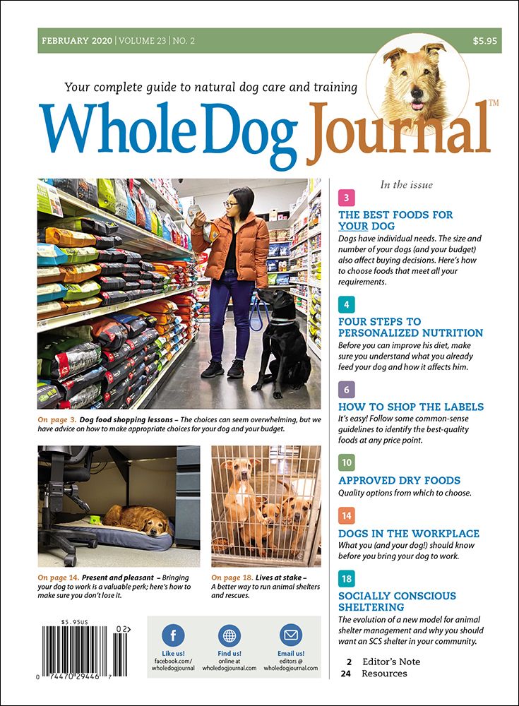 Crate Training To Keep Your Dog Content - Whole Dog Journal