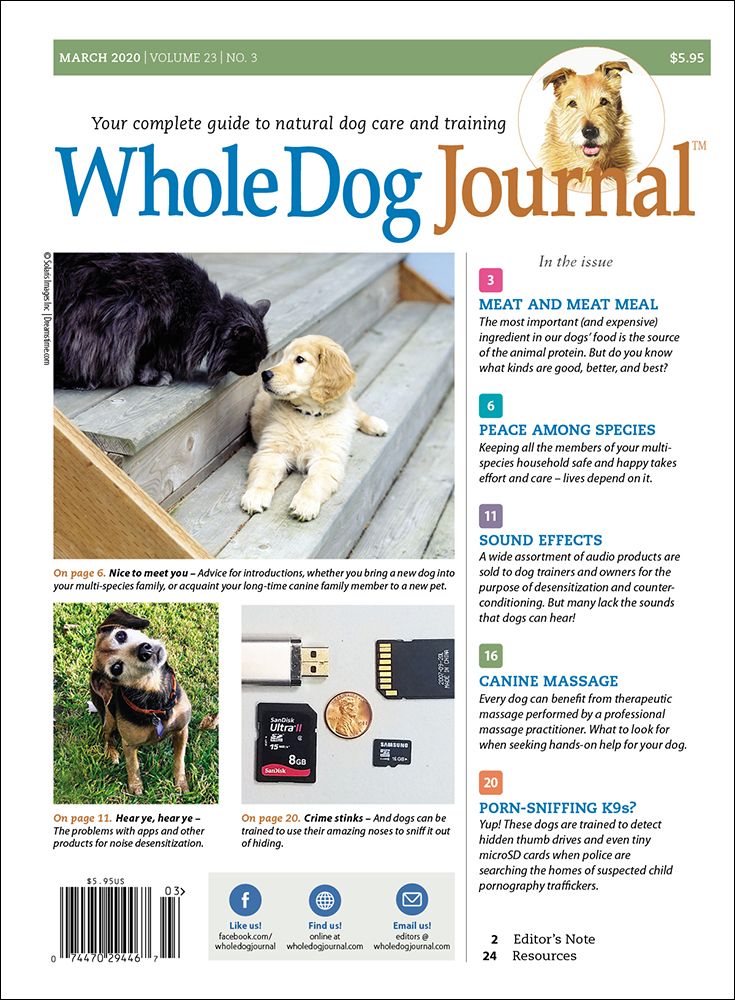 Download the Full March 2020 Issue Whole Dog Journal
