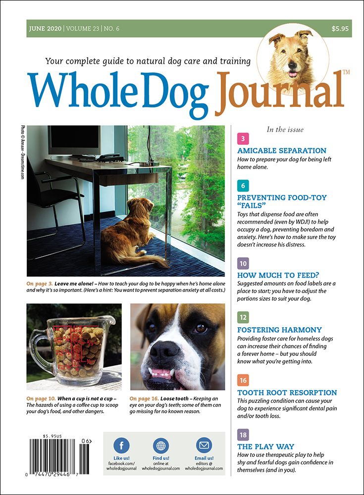 Download the Full June 2020 Issue PDF Whole Dog Journal