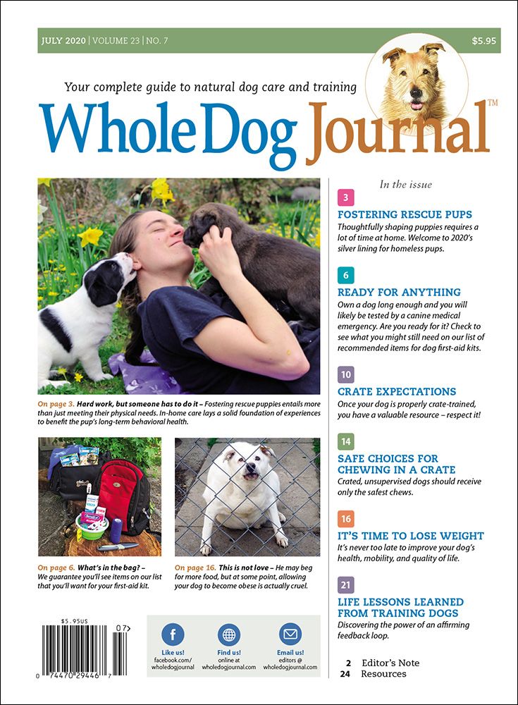 Download the Full July 2020 Issue PDF Whole Dog Journal