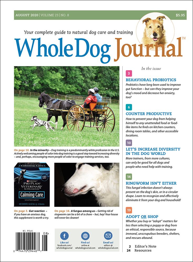 Download The Full August 2020 Issue PDF Whole Dog Journal