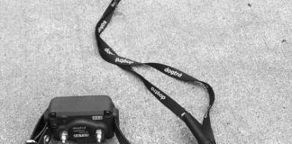 Are shock collars okay for dog training? They definitely have downsides.
