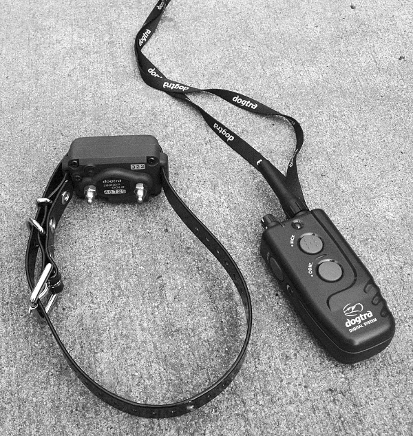 Are shock collars okay for dog training? They definitely have downsides.