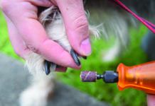 Are dog nail clippers better vs grinders, or vice versa.