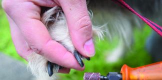 Are dog nail clippers better vs grinders, or vice versa.