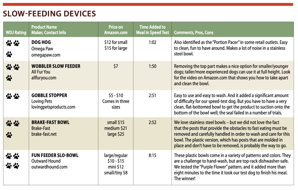 Slow Feeder Dog Bowl: Pros And Cons