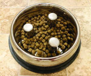 Savor The Flavor: Slow Feeder Device Test - Whole Dog Journal