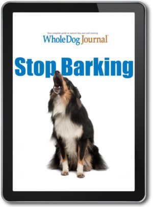 Stop Barking
