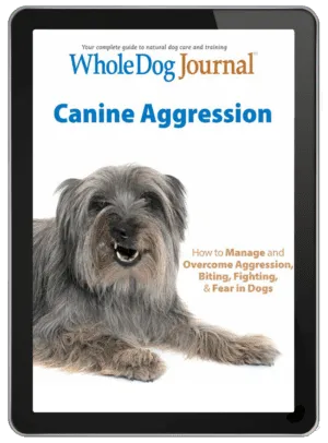 Canine Aggression eBook