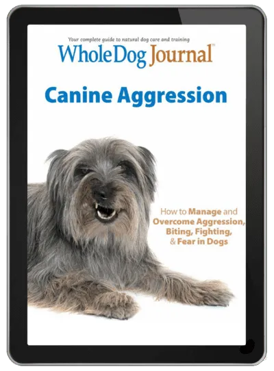 Canine Aggression eBook
