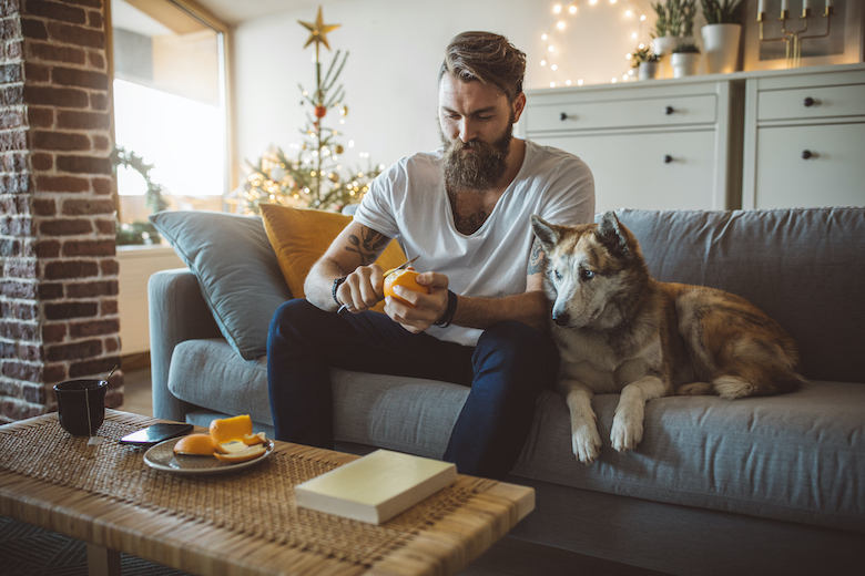 can dogs eat oranges