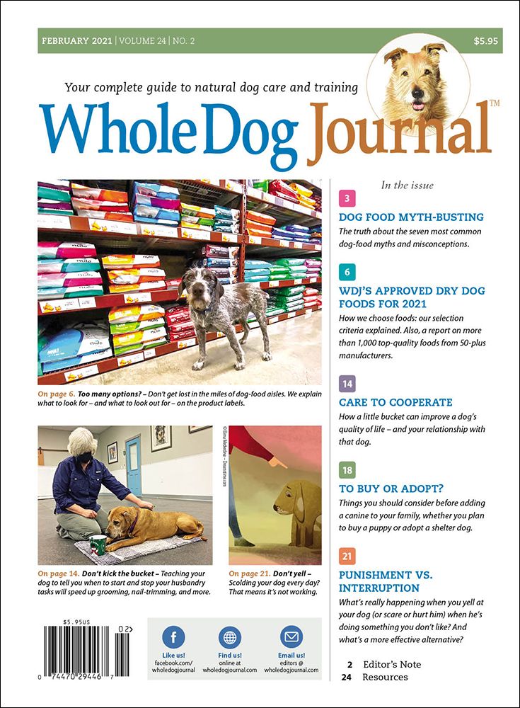 Download The Full February 2021 Issue PDF Whole Dog Journal