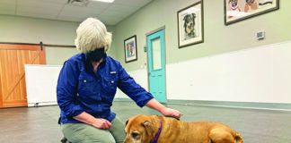 Cooperative care for dogs