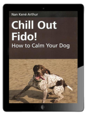 Chill Out Fido! Ebook