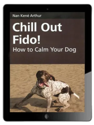 Chill Out Fido! Ebook