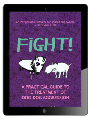 Fight! Ebook