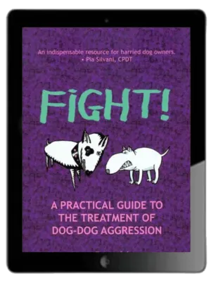 Fight! Ebook