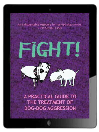 Fight! Ebook