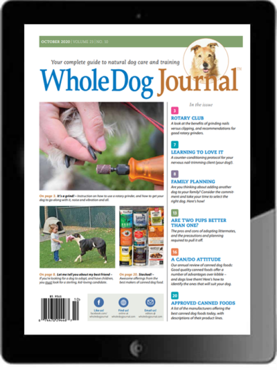 October 2020 Digital Back Issue