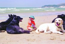 The best age for kids to get a dog can vary widely depending on the nature of the kid.