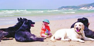 The best age for kids to get a dog can vary widely depending on the nature of the kid.