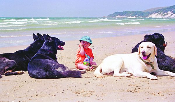 The best age for kids to get a dog can vary widely depending on the nature of the kid.