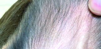 Cleaning dogs ears can help prevent ear infections later on down the line.