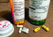 gabapentin for dogs