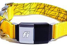 Fi Smart Dog Collar