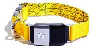 Fi Smart Dog Collar