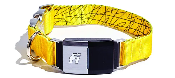 Fi Smart Dog Collar