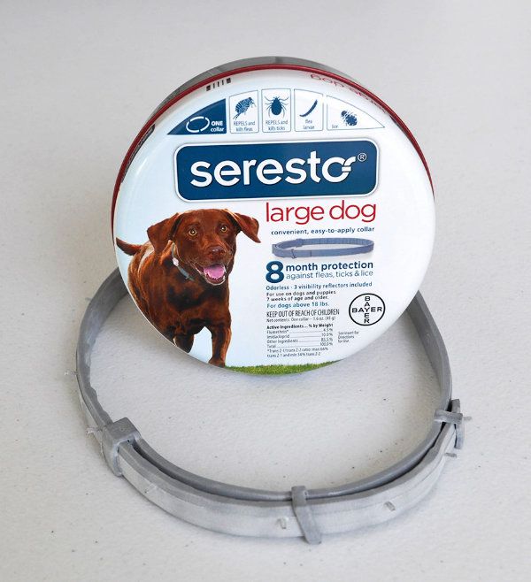 Are Seresto Flea and Tick Collars Harmful to Dogs? Whole Dog Journal