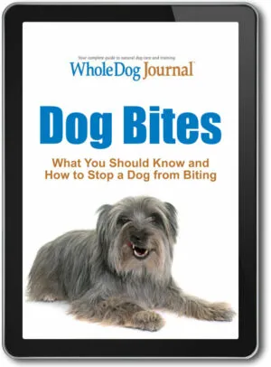 Dog Bites