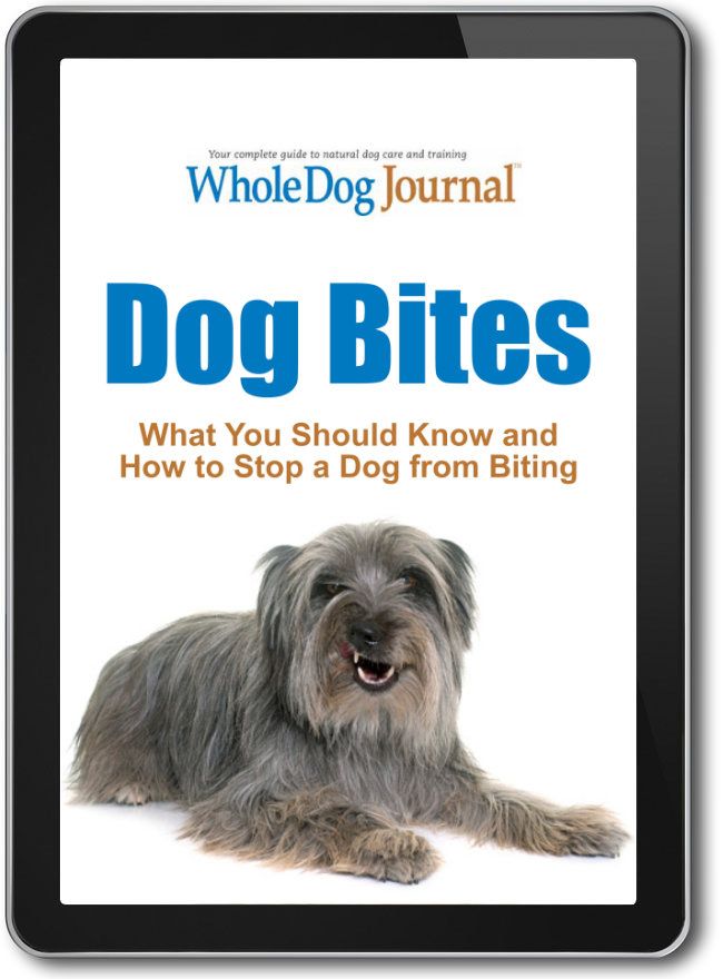https://www.whole-dog-journal.com/wp-content/uploads/2021/04/DogBitesTablet.jpg.optimal.jpg