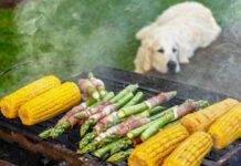 Can Dogs Eat Asparagus?