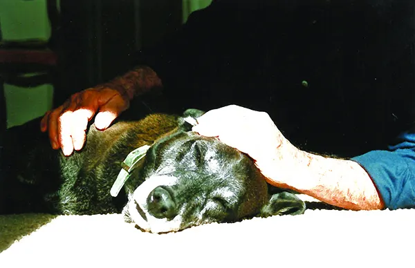 buck_and_jake