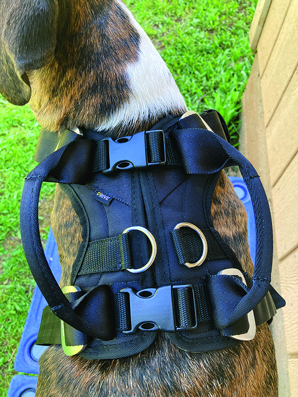 back view of ezydog harness