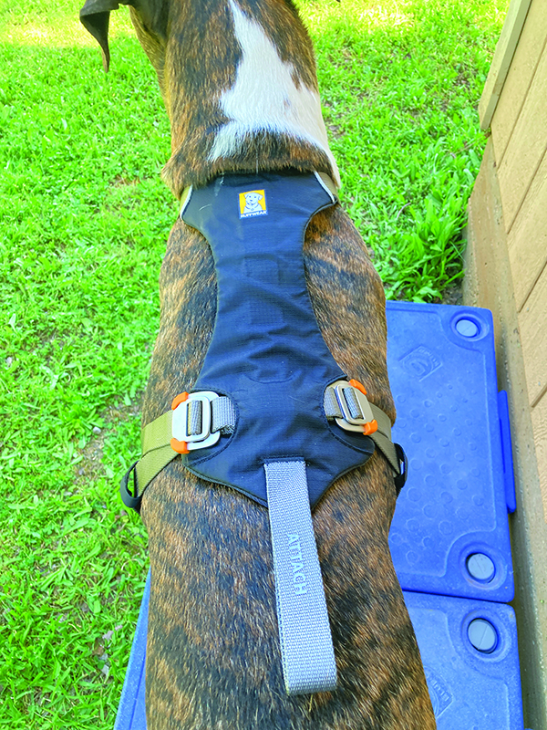 ruffware dog harness back view