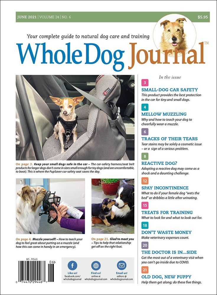 Download The Full June 2021 Issue PDF Whole Dog Journal